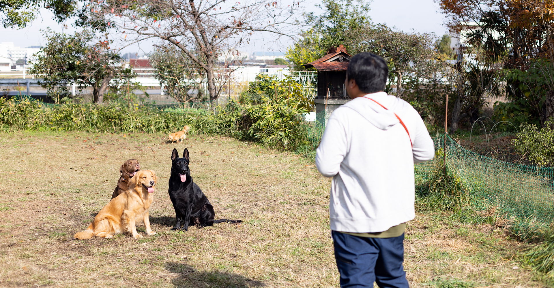 京奈和ドッグスクール